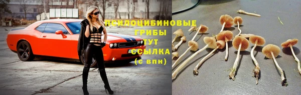 экстази Баксан